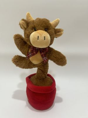 গান ও নাচ উচ্চভূমি গরু