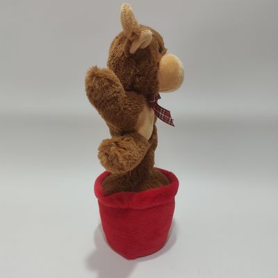 গান ও নাচ উচ্চভূমি গরু