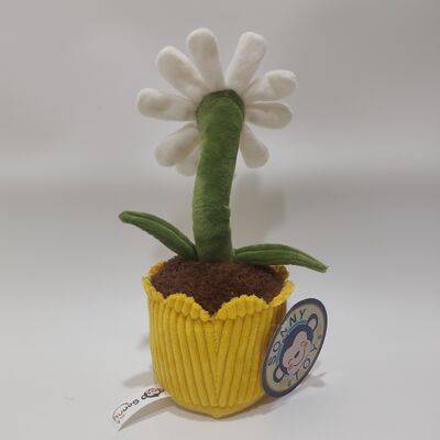 Recording and Rolling Daisy Plush Toy
